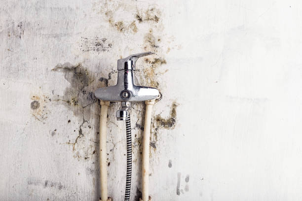 Best Mold Testing  in Kearney, MO