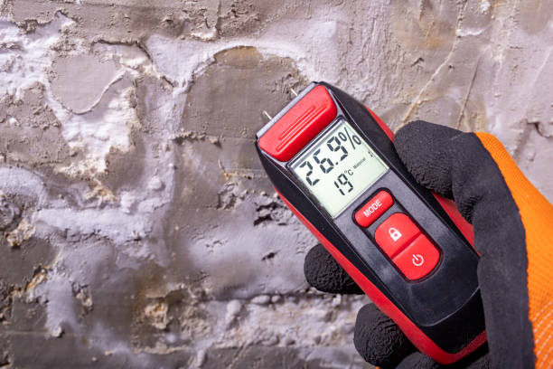 Home Mold Removal in Kearney, MO