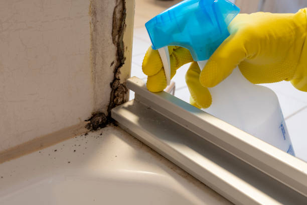 Best Crawl Space Mold Removal  in Kearney, MO