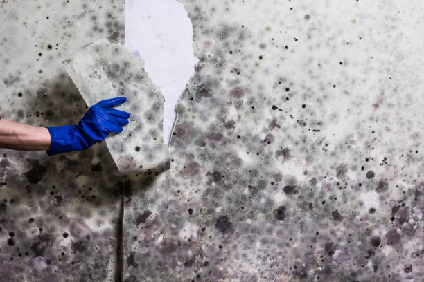 Water Damage Restoration in Kearney, MO